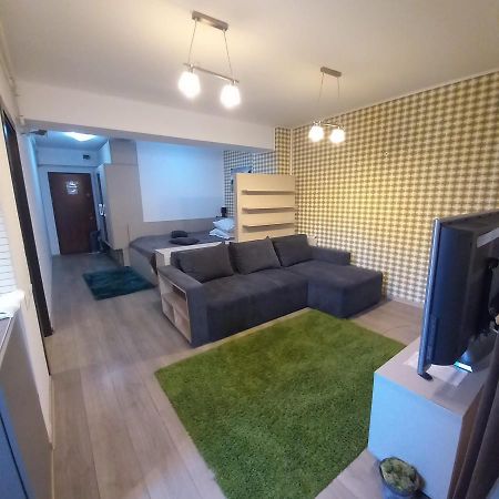 Apartament Aosta Central Sinaia公寓 外观 照片