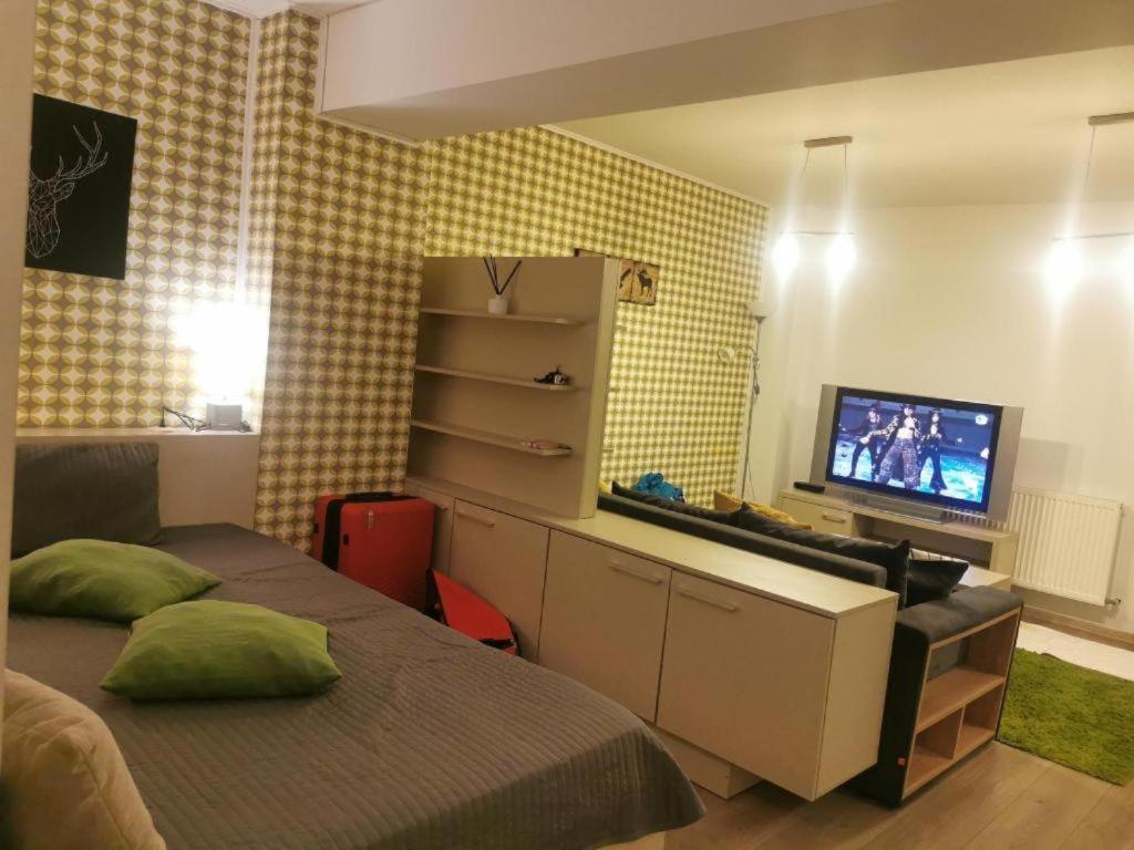 Apartament Aosta Central Sinaia公寓 外观 照片