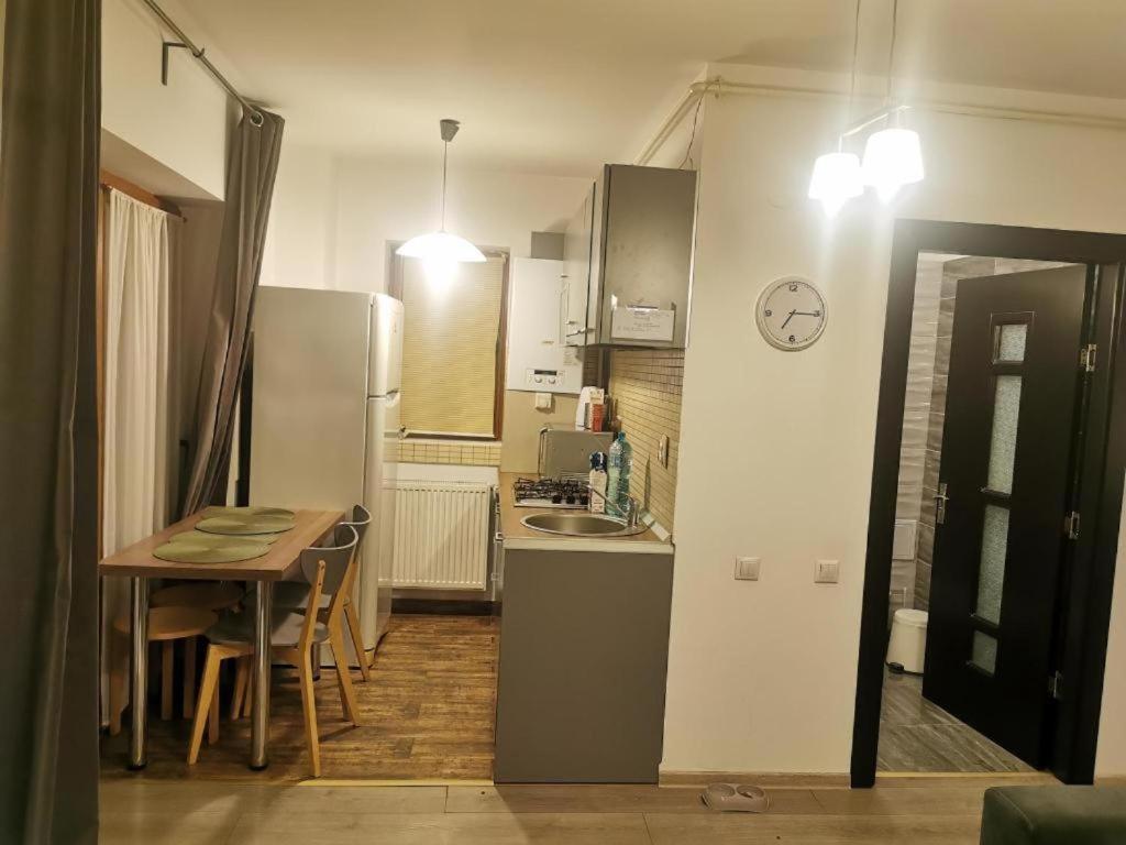 Apartament Aosta Central Sinaia公寓 外观 照片