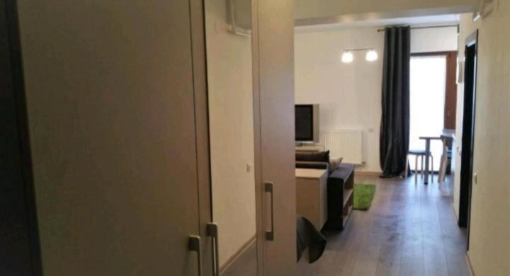 Apartament Aosta Central Sinaia公寓 外观 照片