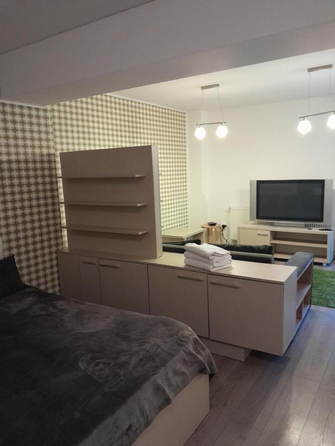 Apartament Aosta Central Sinaia公寓 外观 照片