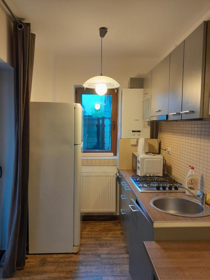 Apartament Aosta Central Sinaia公寓 外观 照片