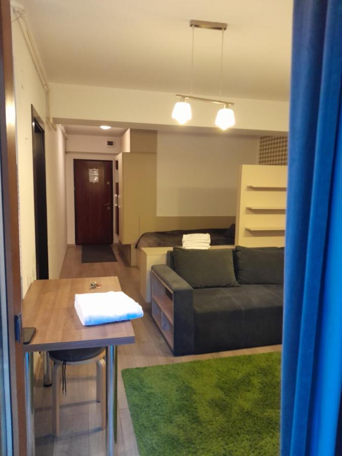 Apartament Aosta Central Sinaia公寓 外观 照片