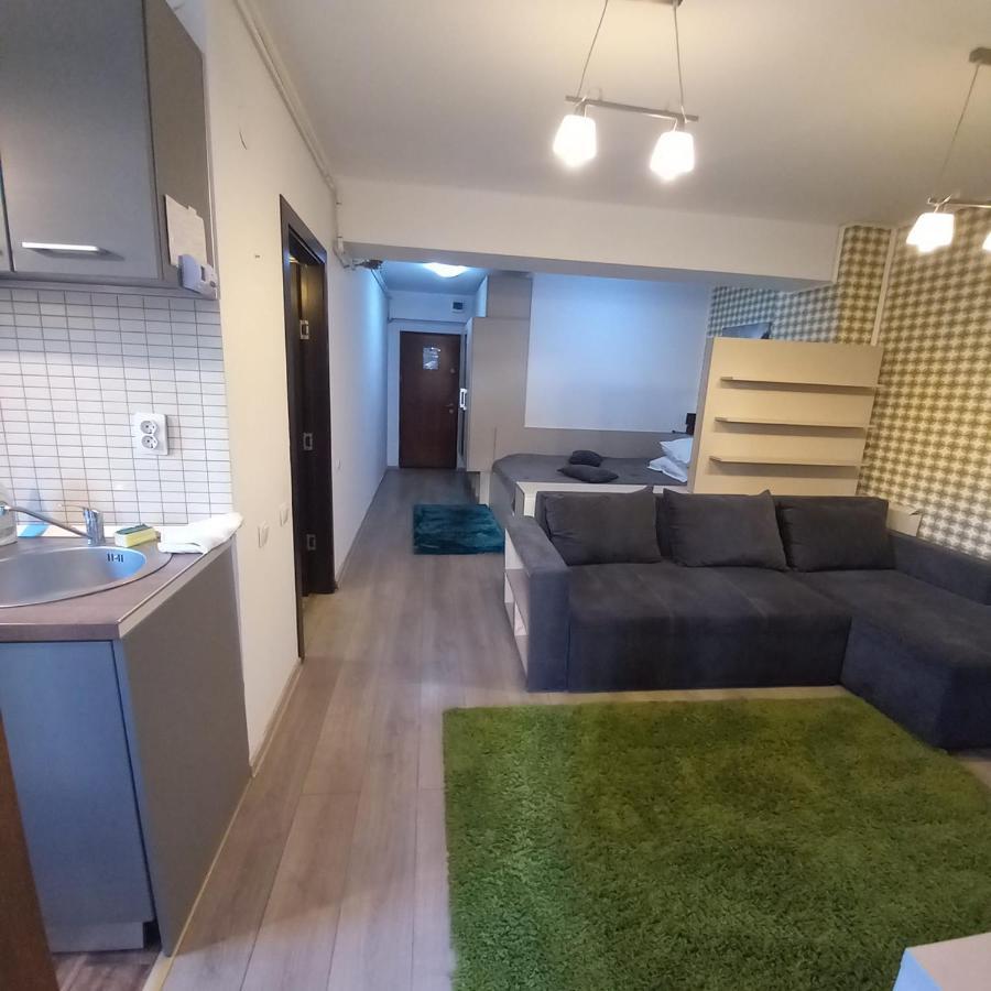 Apartament Aosta Central Sinaia公寓 外观 照片